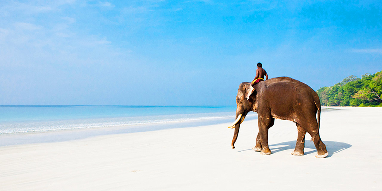 ELEPHANTA BEACH