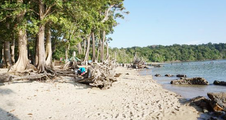 CHIDIYA TAPU BEACH